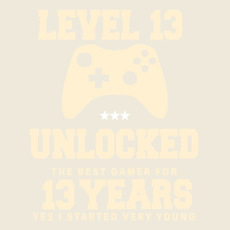Level 13 Vintage Retro Vintage Geburtstag