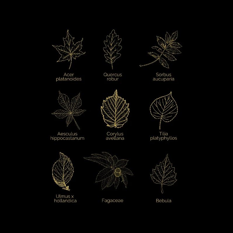 Feuilles Botaniques d’Europe - Design Naturel Brun Doré