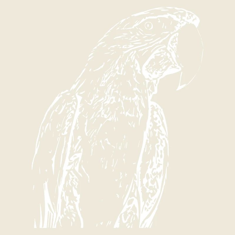 Perroquets Oiseau Blanc