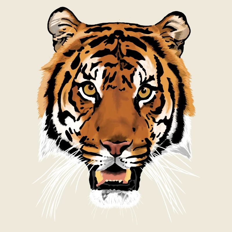 Tigre