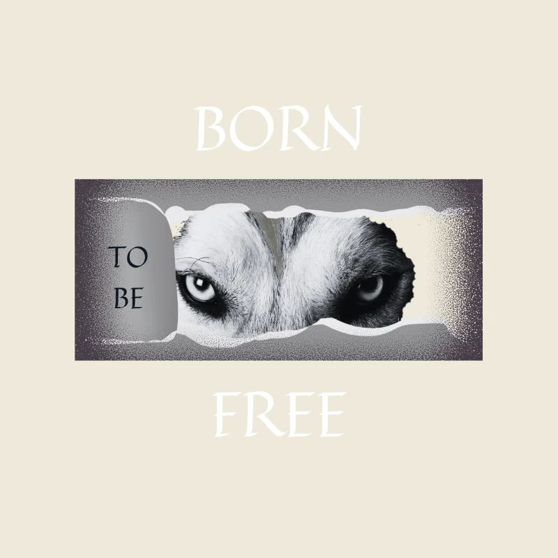 Né pour être libre.