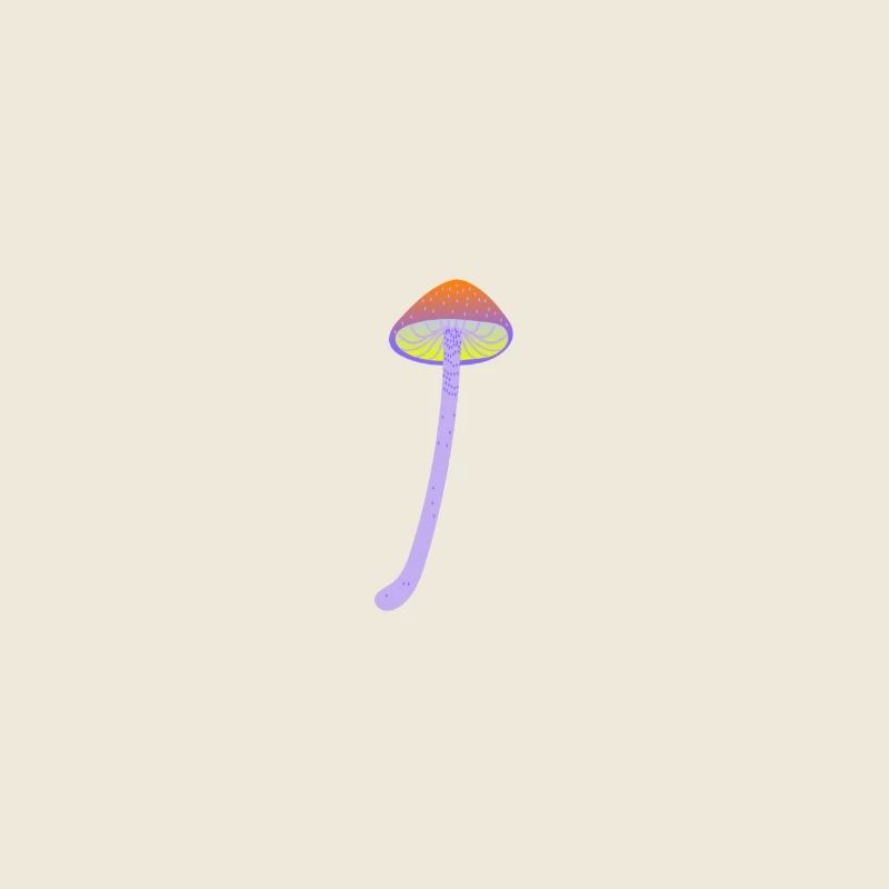 Magic mushroom