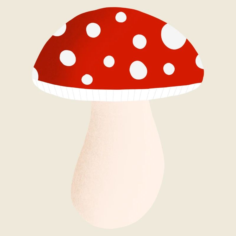 fly agaric mushroom