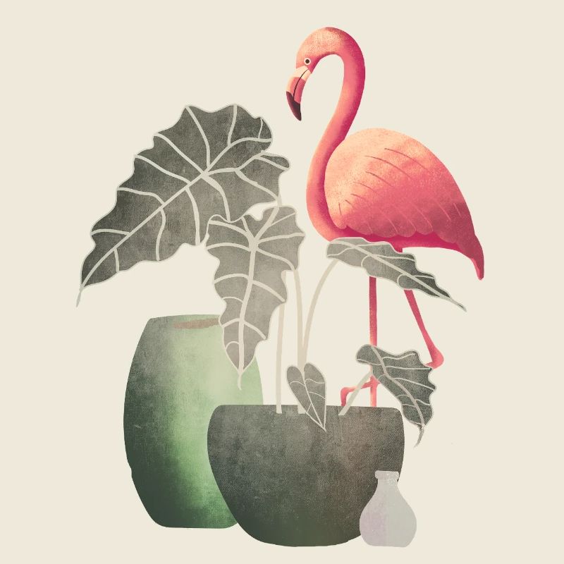 Flamingo