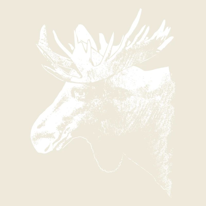 Elch - Moose