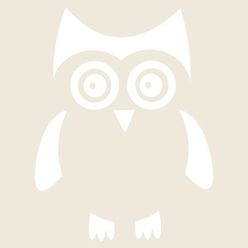 hibou blanc oiseau blanc