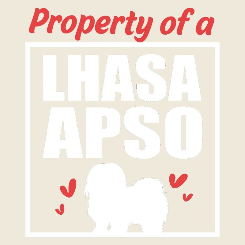 Lhasa Apso Hund