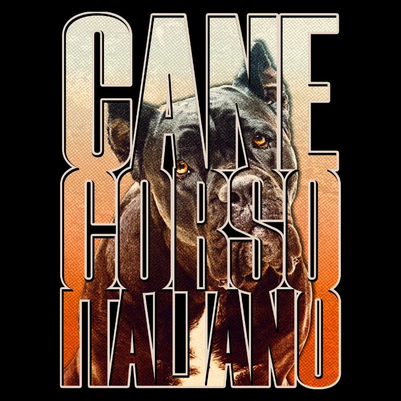 Cane Corso Italiano