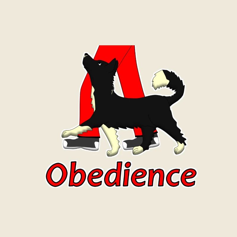 Obedience 1 Border Collie "Velvet"