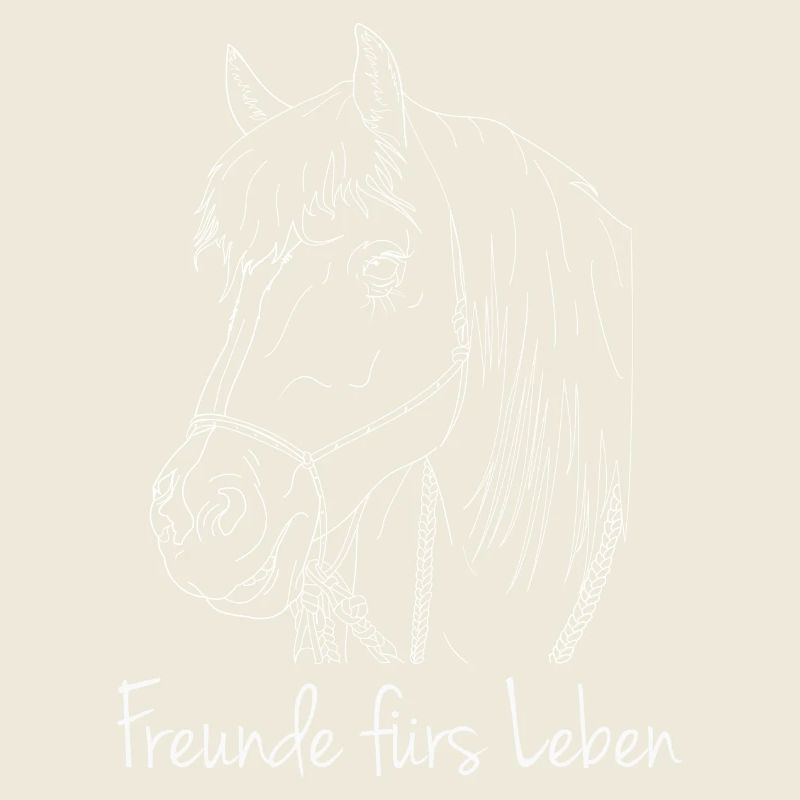 Freunde fürs Leben Haflinger Pferd