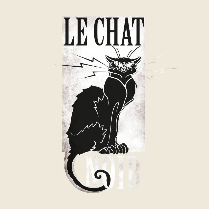 le chat noir chat noir grunge français