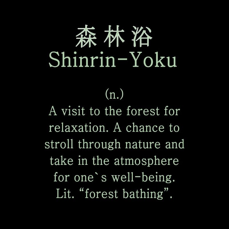 Shinrin-Yoku Japan Forest Bathing Forest Nature Gift