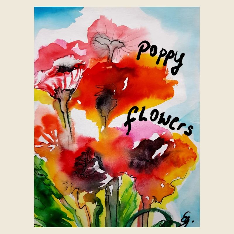 EG Fleurs I Coquelicots I Fleurs de pavot