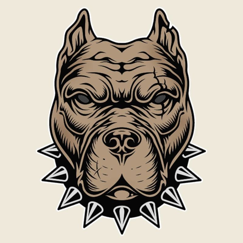 Aggressive dog