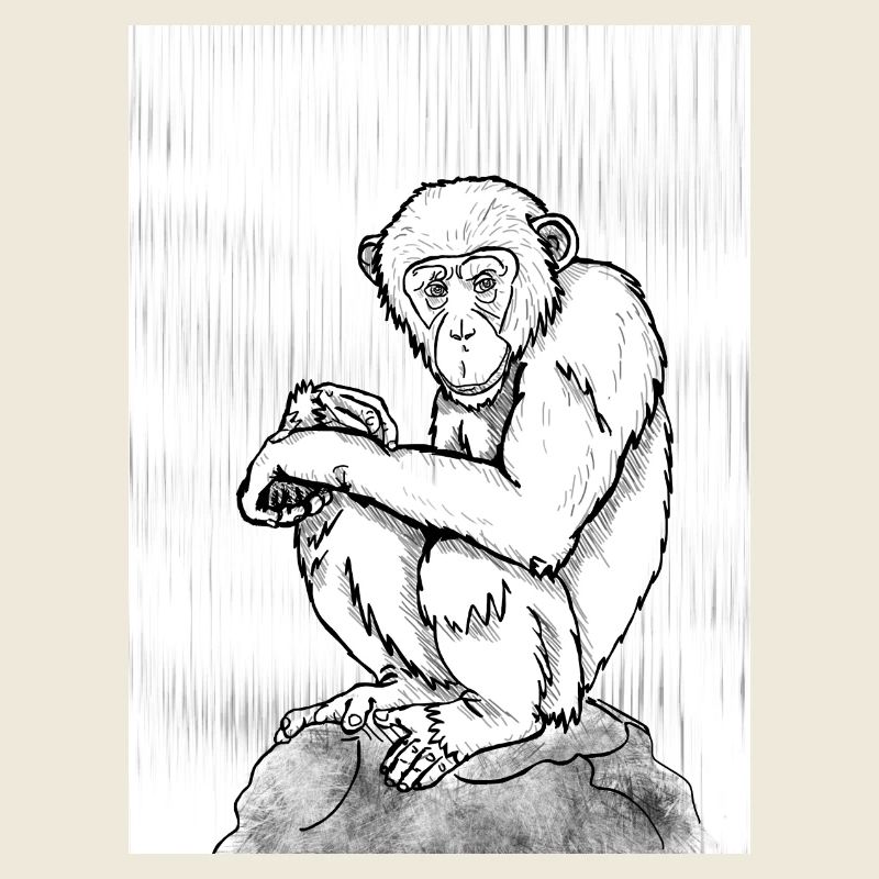 Nachdenklicher Schimpanse