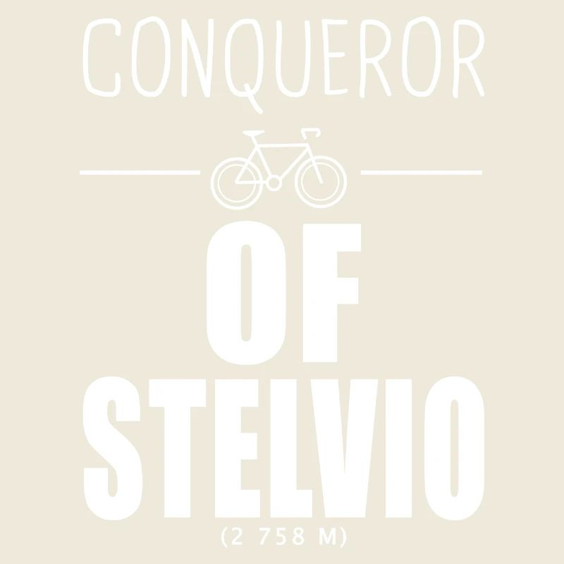 Conquérant du Stelvio cycliste Alpes