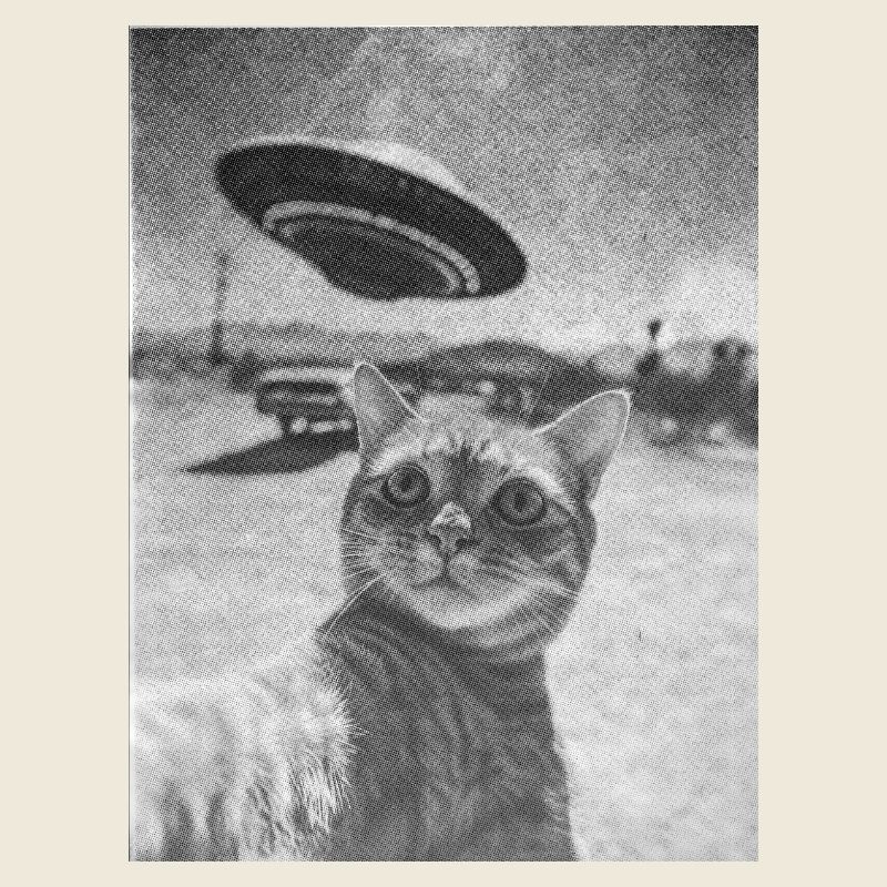 Surreal: cat + ufo