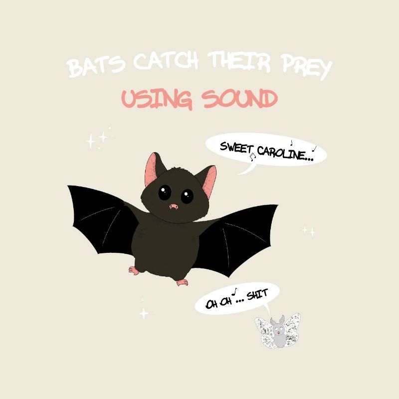 Bats catch their prey using sound