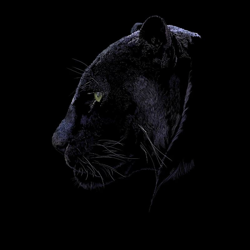 Panther