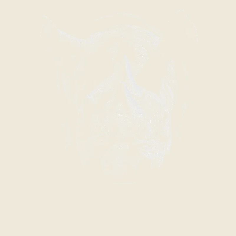 Rhinoceros