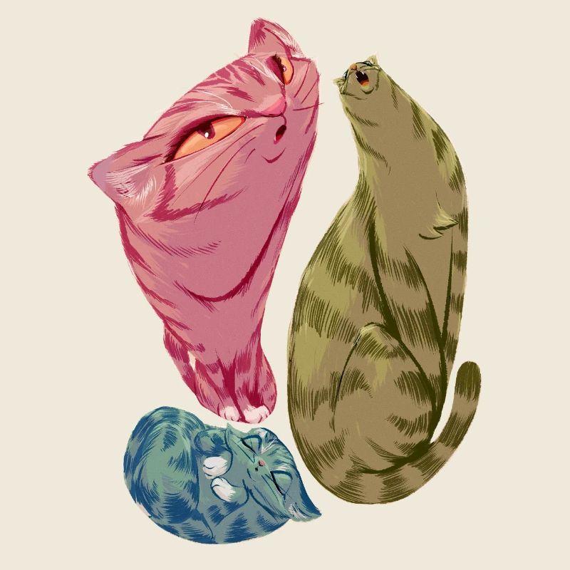 Triade de chats mous aux teintes pastel