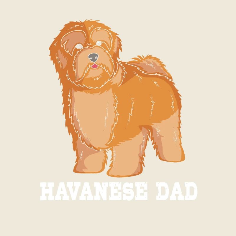 Havanese dog
