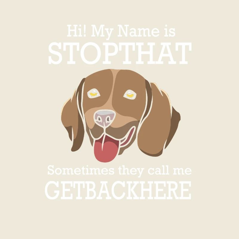 Deutsch Kurzhaar Hund German Pointer