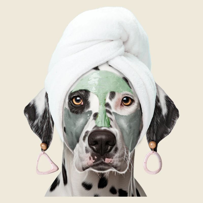 Bien-être Dalmatien