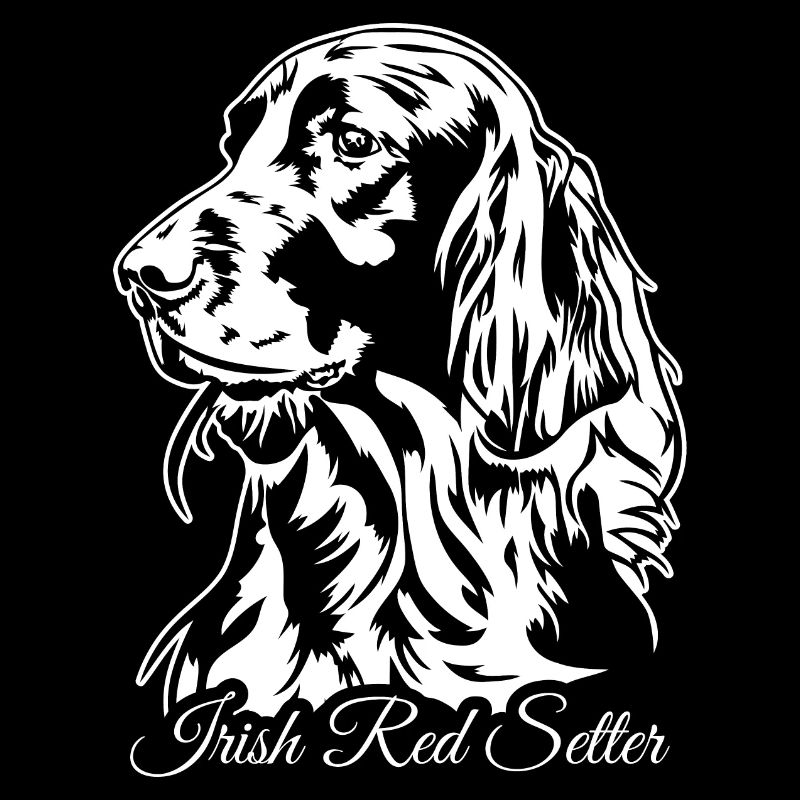 Irish Red Setter Jagdhund Jagdhunde Hunde Wilsigns