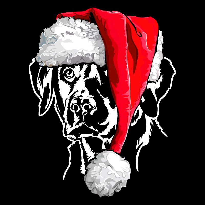 Père Noël Labrador Labbi Chien Wilsigns