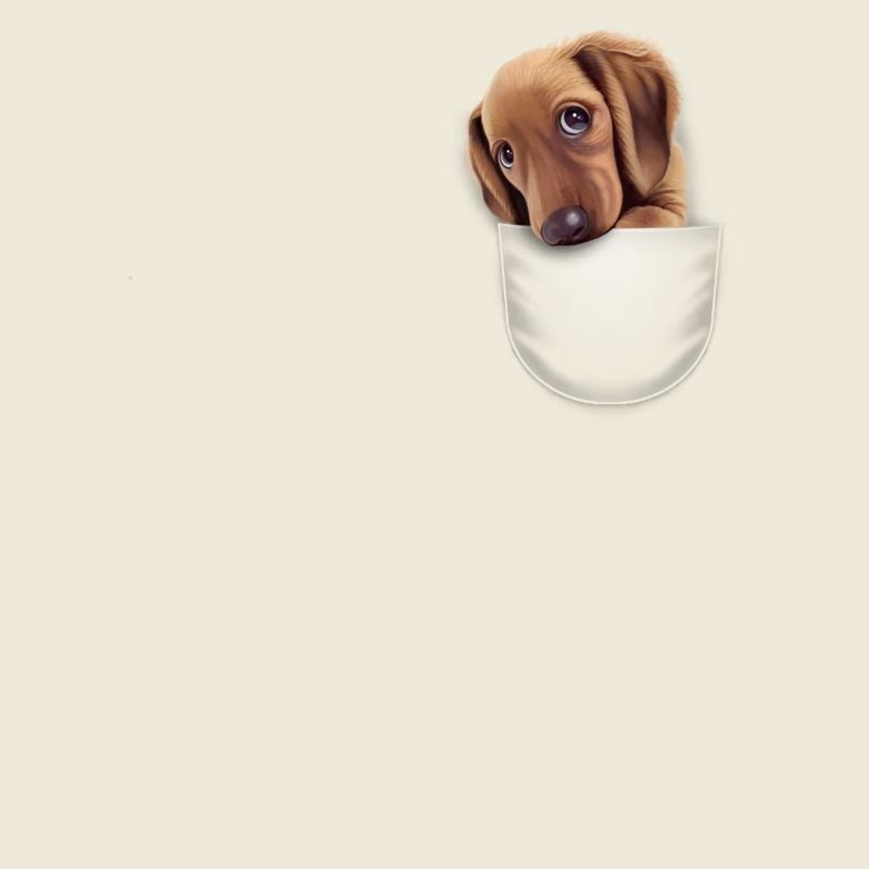 poche DOG2