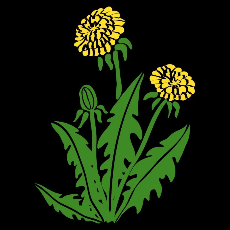 dandelion hawkbit blowball clock flower