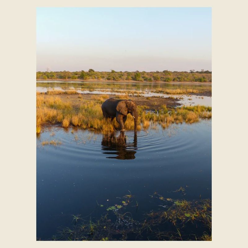 Elefanten am Wasser in Namibia Afrika