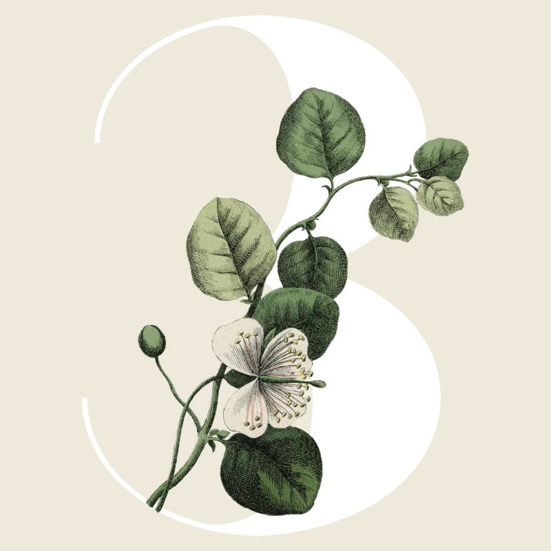 Nummer 3 Blumengrün -3. Blumengeburtstag