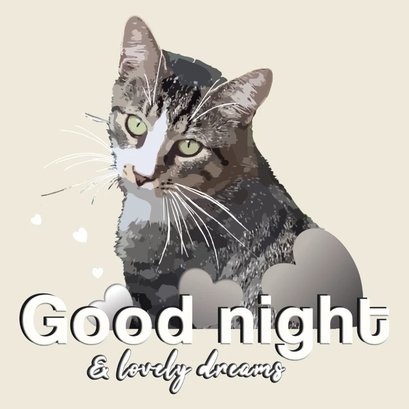 Chemise de sommeil bonne nuit bonne nuit