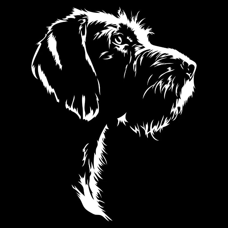 Griffon Korthals Silhouette Chiens Chien Wilsigns