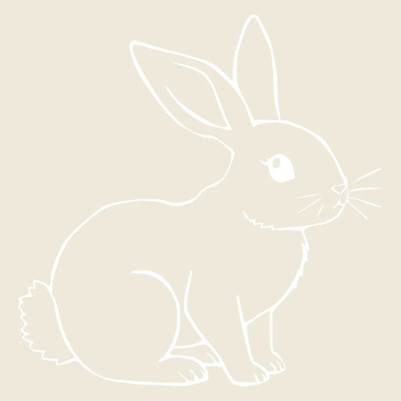 Rabbit Bunny Bunny Dwarf Rabbit Gift