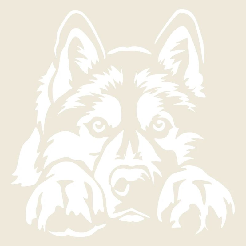 Siberian Husky « Édition Noire »