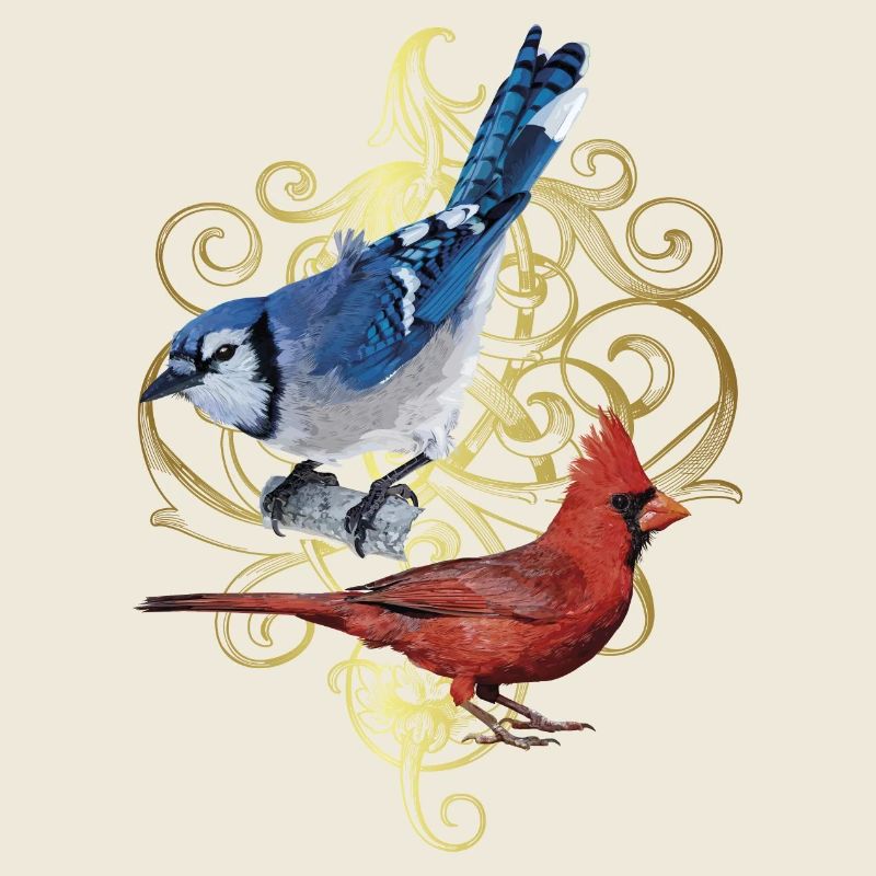 Der nördliche Kardinal und der blaue Eichelhäher