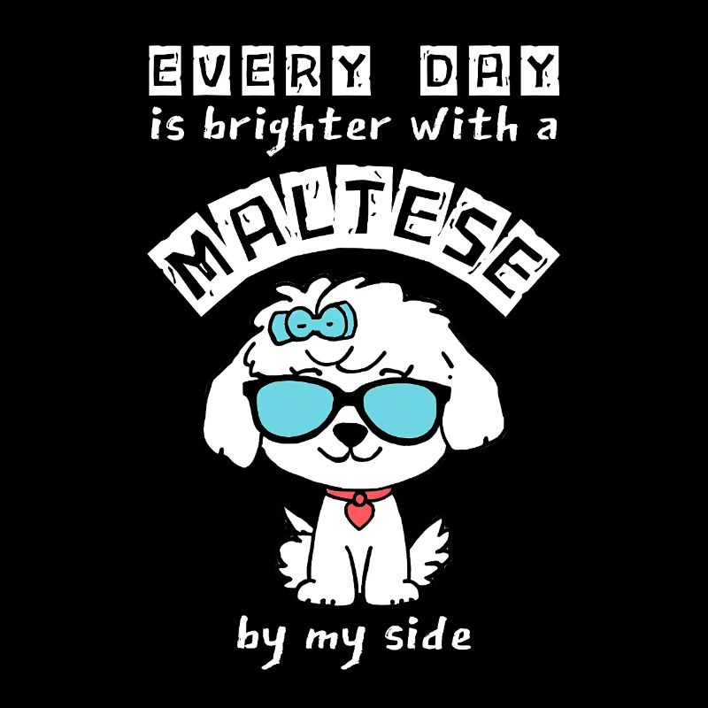 Every Day is Brighter with a Maltese – Cute Dog
