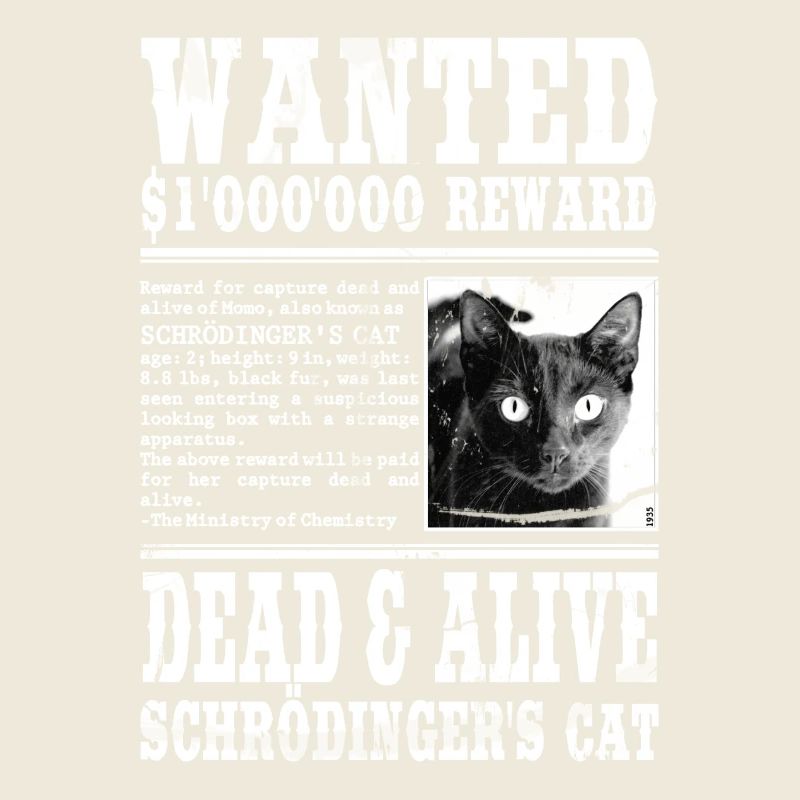 le chat de schrödinger blanc