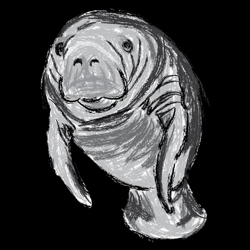 Design mit Seekuh / Artwork with a Manatee