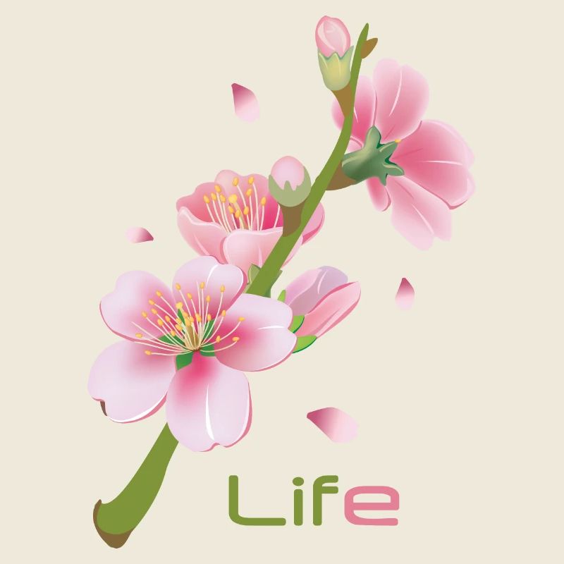 Kirschblüten Fleur de cerisier Sakura - Vie