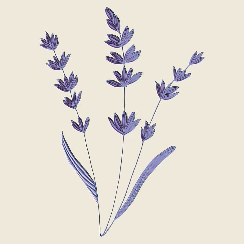 lavendel relief