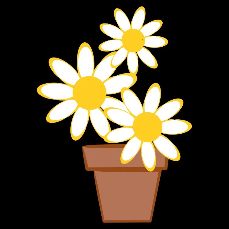 Marguerites