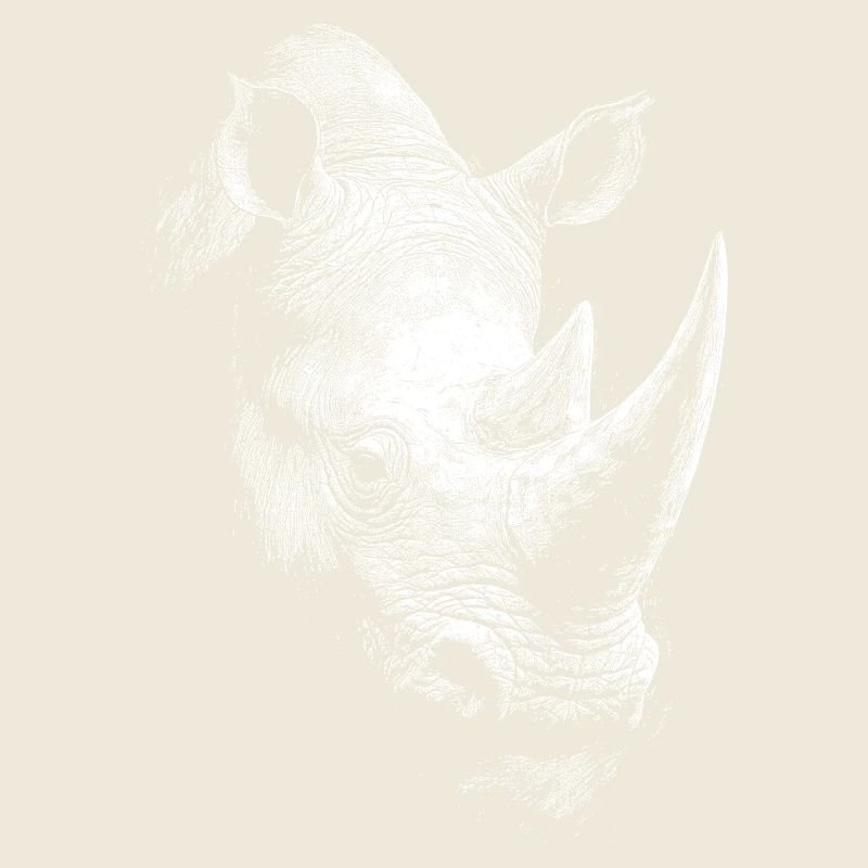 Rhinoceros