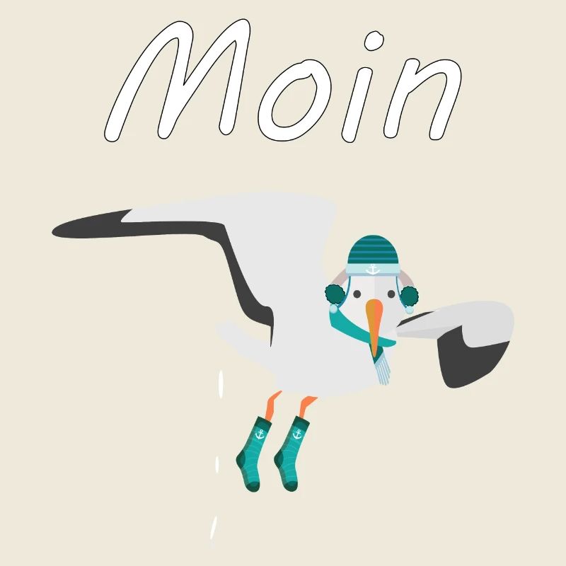 Moin - Möwe mit Winterkleidung macht Möwenschiss