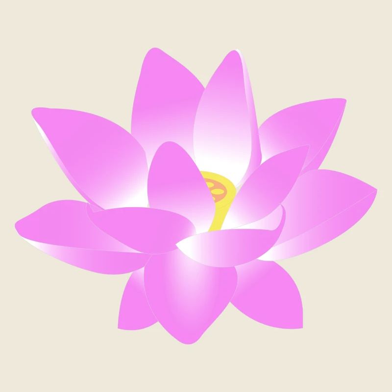 Blume Lotus