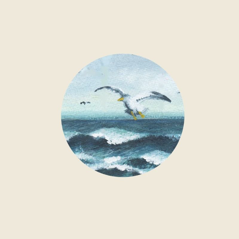 mouettes