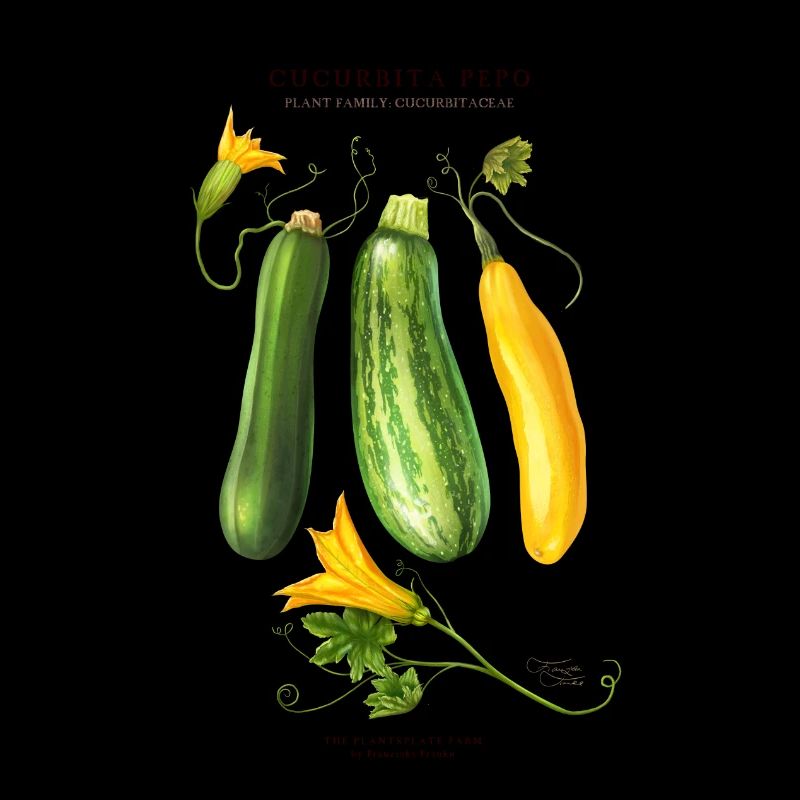 LE GROUPE DE PLANTES - Cucurbita Pepo